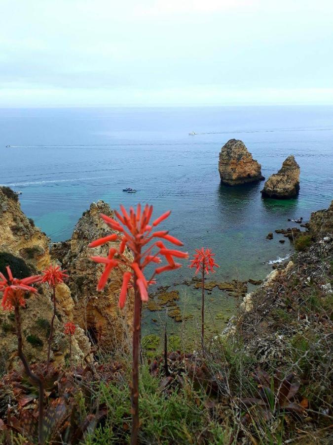 Maravilha Em - Luxury Holidays